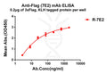 Anti-Flag antibody(7E2), Rabbit mAb – Figure 1 of 1