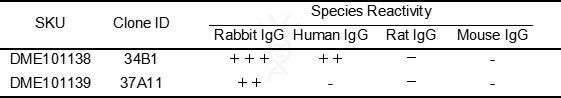 Anti-Rabbit IgG antibody(37A11), Goat mAb – Figure 1 of 1
