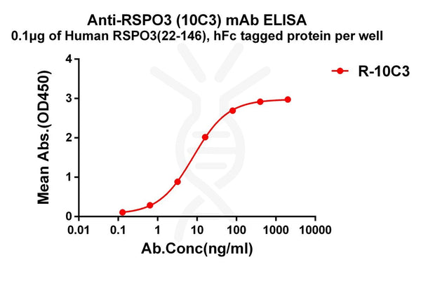 Anti-RSPO3 antibody(10C3), Rabbit mAb – Figure 1 of 1