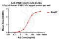 Anti-IFNB1 antibody(4A7), Rabbit mAb – Figure 1 of 1