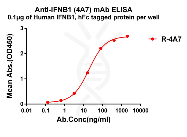 Anti-IFNB1 antibody(4A7), Rabbit mAb – Figure 1 of 1