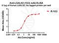 Anti-LGALS3 antibody(1G3), Rabbit mAb – Figure 1 of 1