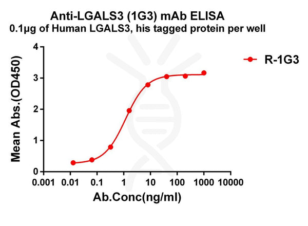 Anti-LGALS3 antibody(1G3), Rabbit mAb – Figure 1 of 1