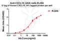 Anti-CXCL10 antibody(2A5), Rabbit mAb – Figure 1 of 1