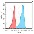 Anti-LAIR1 antibody(1A2), Rabbit mAb – Figure 1 of 1
