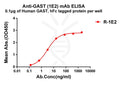 Anti-GAST antibody(1E2), Rabbit mAb – Figure 1 of 1