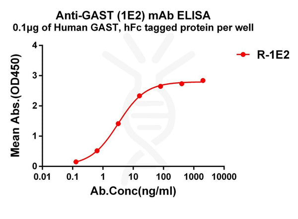 Anti-GAST antibody(1E2), Rabbit mAb – Figure 1 of 1
