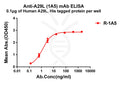 Anti-Monkeypox virus A29L antibody(1A5), Rabbit mAb – Figure 1 of 1