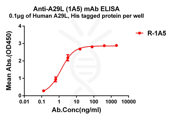 Anti-Monkeypox virus A29L antibody(1A5), Rabbit mAb – Figure 1 of 1