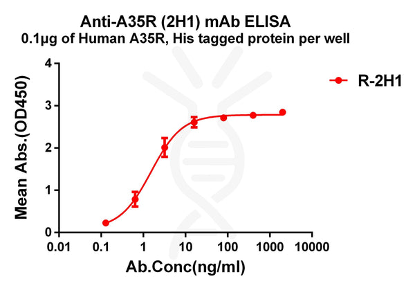 Anti-Monkeypox virus A35R antibody(2H1), Rabbit mAb – Figure 1 of 1