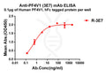 Anti-PF4V1 antibody(3E7), Rabbit mAb – Figure 1 of 1