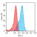 Anti-BCAM antibody(5B1), Rabbit mAb – Figure 1 of 1