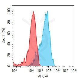 Anti-BCAM antibody(5B1), Rabbit mAb – Figure 1 of 1