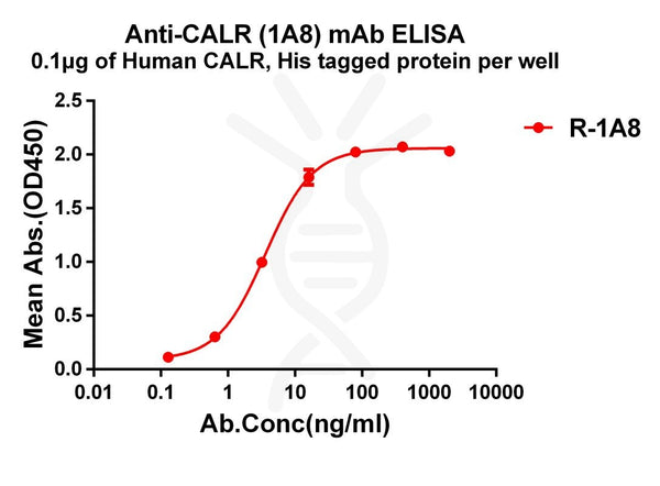 Anti-CALR antibody(1A8), Rabbit mAb – Figure 1 of 1