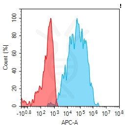 Anti-CEACAM8 antibody(1H10), Rabbit mAb – Figure 1 of 1