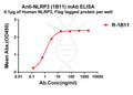 Anti-NLRP3 antibody(1B11), Rabbit mAb – Figure 1 of 1