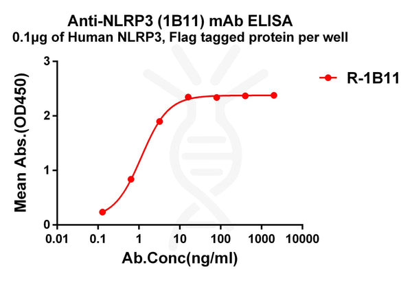 Anti-NLRP3 antibody(1B11), Rabbit mAb – Figure 1 of 1