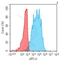 Anti-KIR2DL1 antibody(4H3), Rabbit mAb – Figure 1 of 1