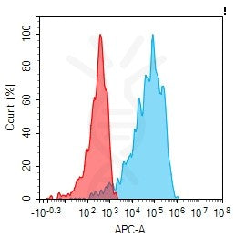Anti-CEACAM1 antibody(1H3), Rabbit mAb – Figure 1 of 1
