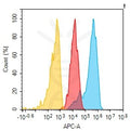 Anti-CD9 antibody(2G3), Rabbit mAb – Figure 1 of 1