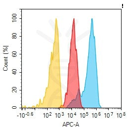 Anti-CD9 antibody(2G3), Rabbit mAb – Figure 1 of 1