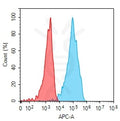 Anti-BTN3A3 antibody(3E7), Rabbit mAb – Figure 1 of 1