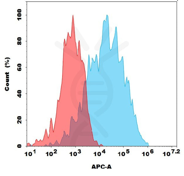 Anti-APLP2 antibody(1F12), Rabbit mAb – Figure 1 of 1