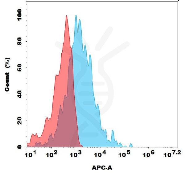 Anti-LRP10 antibody(3E12), Rabbit mAb – Figure 1 of 1