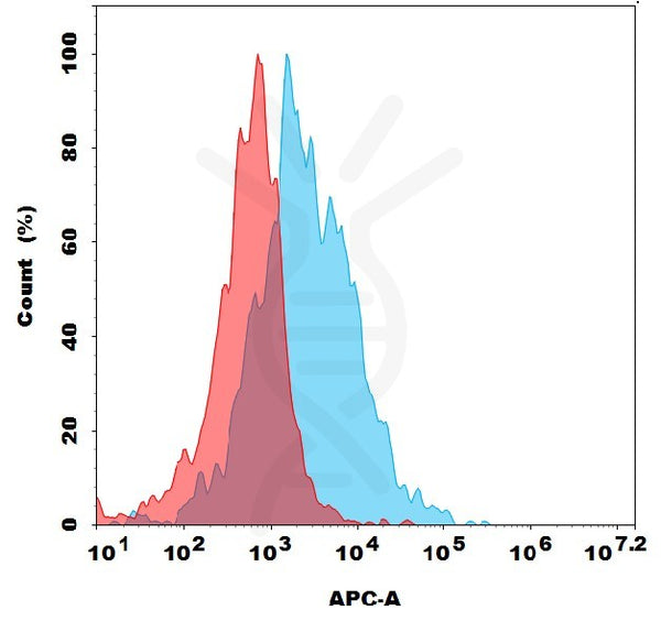 Anti-GRPR antibody(3B12), Rabbit mAb – Figure 1 of 1