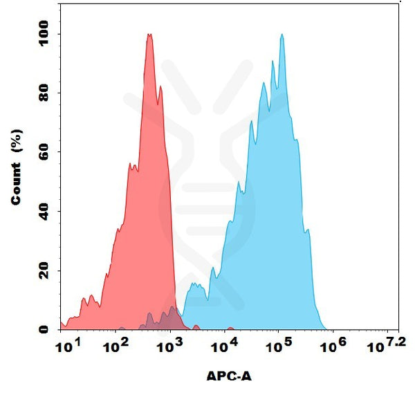 Anti-GLP1R antibody(1A4), Rabbit mAb – Figure 1 of 1