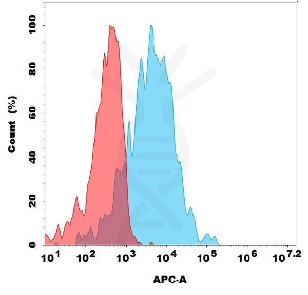 Anti-GPR20 antibody(1E10), Rabbit mAb – Figure 1 of 1