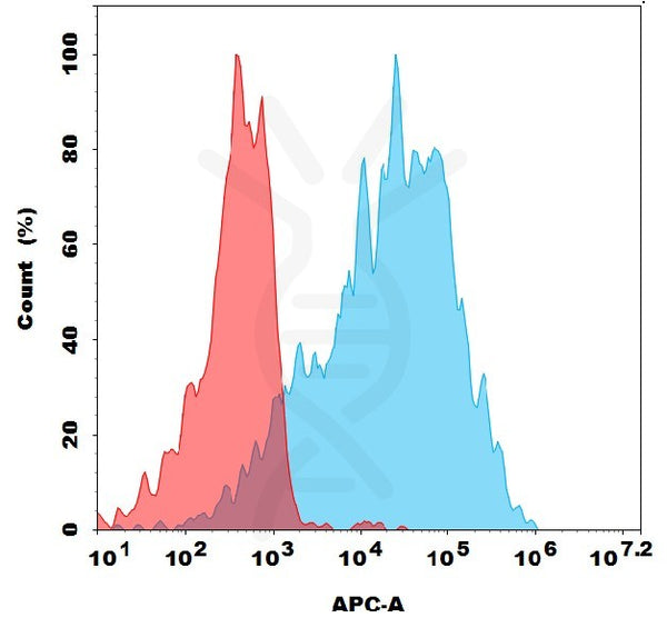 Anti-ECSCR antibody(1A7), Rabbit mAb – Figure 1 of 1