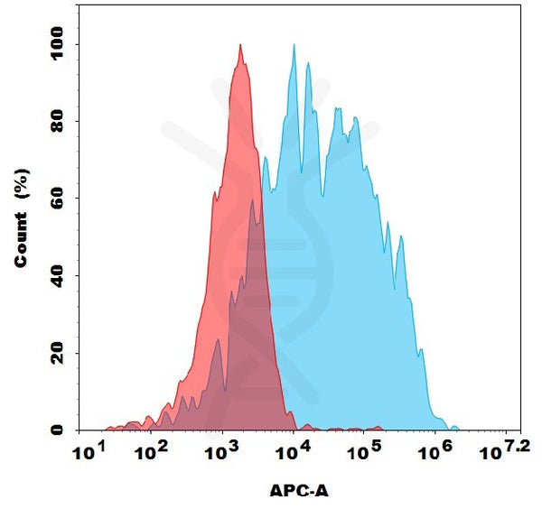 Anti-NRP1 antibody(1F11), Rabbit mAb – Figure 1 of 1