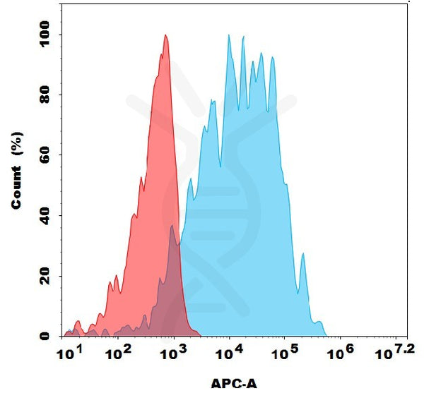Anti-MST1R antibody(1G10), Rabbit mAb – Figure 1 of 1