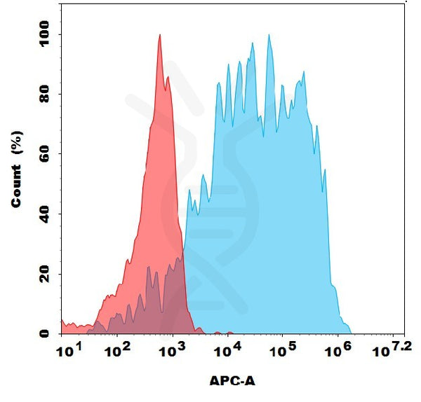 Anti-BTC antibody(1F4), Rabbit mAb – Figure 1 of 1