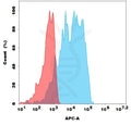 Anti-ADAM15 antibody(1G8), Rabbit mAb – Figure 1 of 1