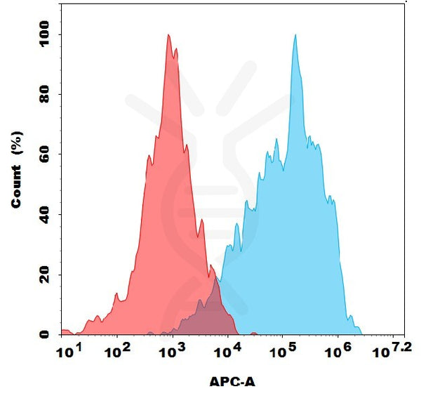 Anti-MELTF antibody(1D12), Rabbit mAb – Figure 1 of 1