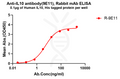 Anti-IL10 antibody(9E11), Rabbit mAb – Figure 1 of 1