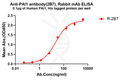 Anti-PAI1 antibody(2B7), Rabbit mAb – Figure 1 of 1