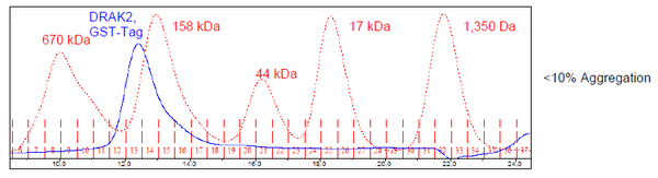 DRAK2, GST-Tag Recombinant – Figure 1 of 5
