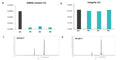 Hieff™ T7 RNA Polymerase (GMP Grade,low dsRNA, 250 U/μL)