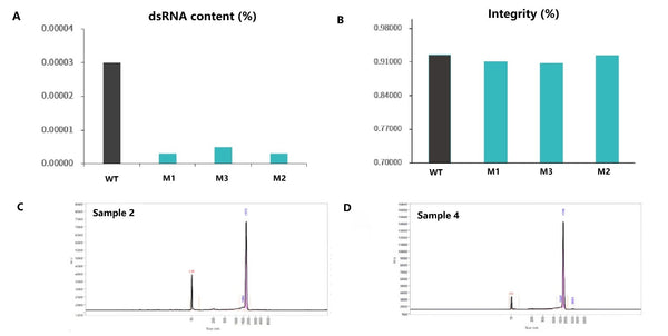 Hieff™ T7 RNA Polymerase (GMP Grade,low dsRNA, 250 U/μL)