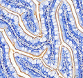 Anti-Zebrafish Ptprq Antibody