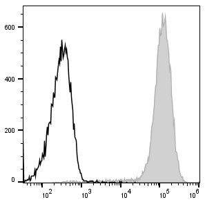 PE Anti-Mouse/Human CD11b Antibody[M1/70] – Figure 1 of 2