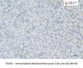 Immortalized Myeloid Monocyte Cell Line (ECoM-M) – Figure 1 of 1