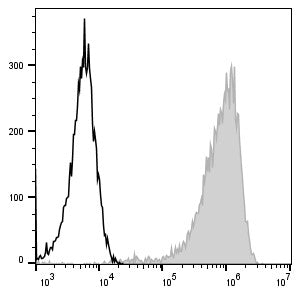 PE Anti-Mouse F4/80 Antibody[CI:A3-1] – Figure 1 of 2