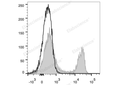 FITC Anti-Rat CD4(domain 1) Antibody[OX-38] – Figure 1 of 2