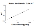 Human Amphiregulin(AR) PicoKine ELISA Kit standard curve