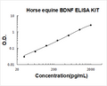 Horse equine BDNF PicoKine ELISA Kit standard curve
