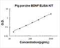Pig BDNF PicoKine ELISA Kit standard curve